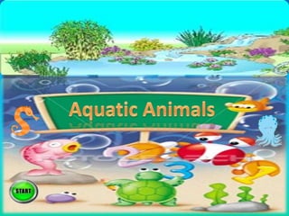 Aquatic animals  1