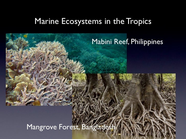 Aquatic Biodiversity