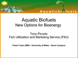 Aquatic Biofuels New Options for Bioenergy   Tony Piccolo Fish Utilization and Marketing Service (FIIU) Thesis Topic (MBA - University of Malta – Rome Campus) 