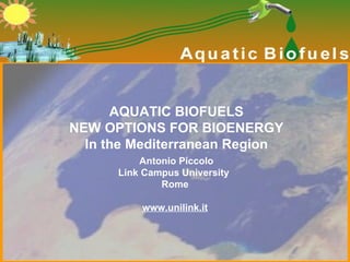 AQUATIC BIOFUELS NEW OPTIONS FOR BIOENERGY In the Mediterranean Region Antonio Piccolo Link Campus University   Rome     www.unilink.it   