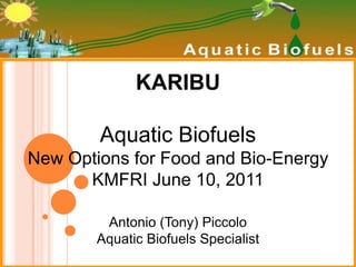 KARIBU Aquatic Biofuels New Options for Food and Bio-EnergyKMFRI June 10, 2011 Antonio (Tony) Piccolo Aquatic BiofuelsSpecialist 