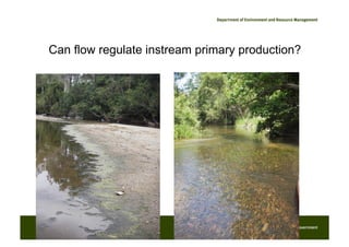 Aquatic biological monitoring, richard hunt | PDF