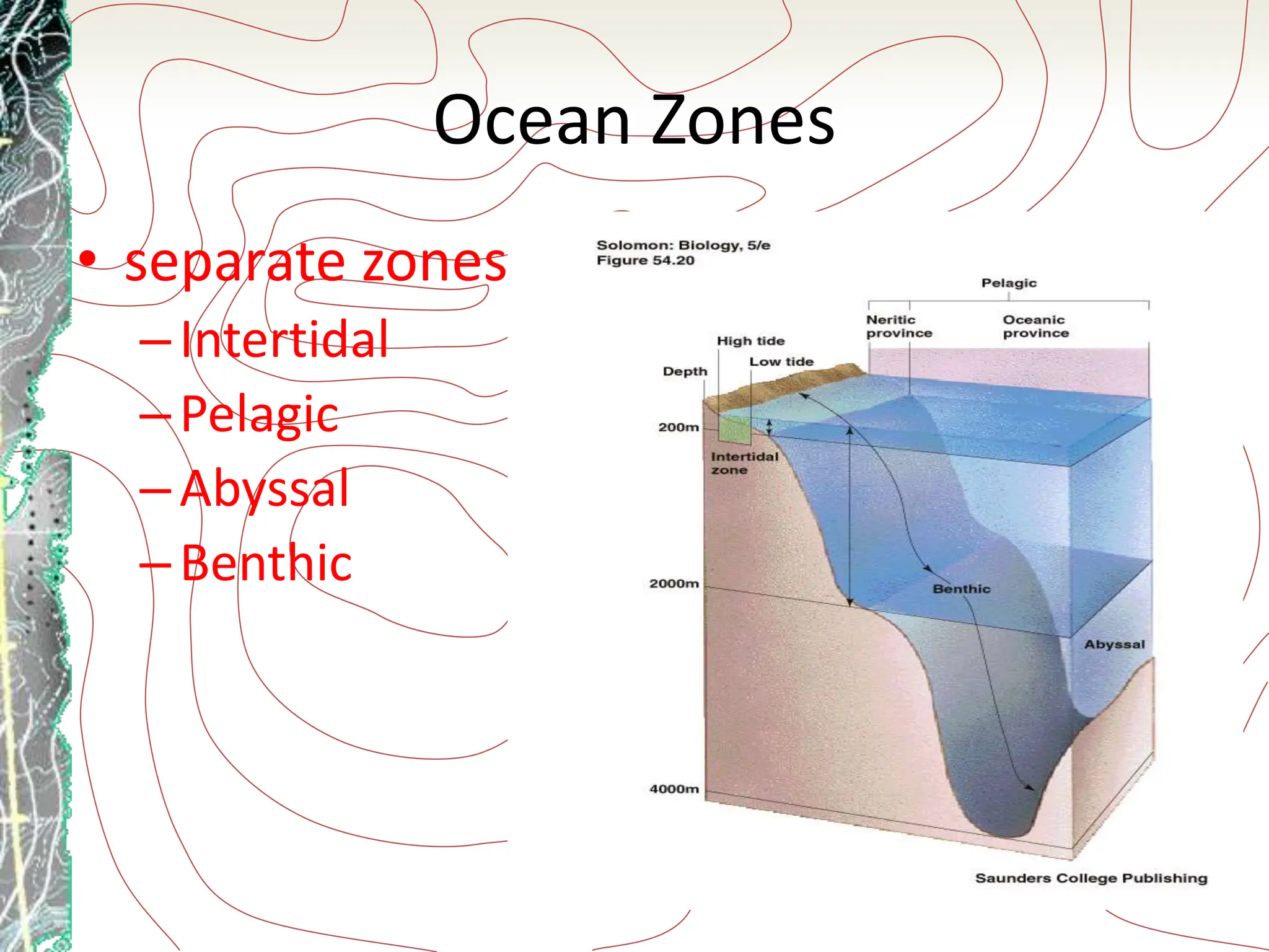 Ocean Zones
• separate zones
–Intertidal
–Pelagic
–Abyssal
–Benthic
 