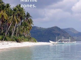 Marine
zones.
 