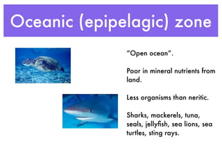 Oceanic (epipelagic) zone
              “Open ocean”.

              Poor in mineral nutrients from
              land.

              Less organisms than neritic.

              Sharks, mackerels, tuna,
              seals, jellyﬁsh, sea lions, sea
              turtles, sting rays.
 