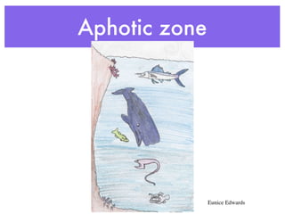 Aphotic zone




               Eunice Edwards
 