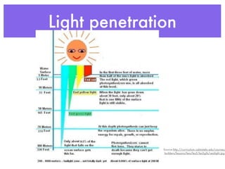 Light penetration




               Source:http://curriculum.calstatela.edu/courses/
                builders/lessons/less/les5/les5gifs/sealight.jpg
 