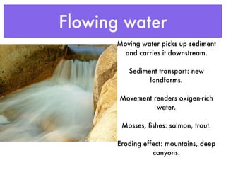Flowing water
      Moving water picks up sediment
        and carries it downstream.

          Sediment transport: new
                landforms.

       Movement renders oxigen-rich
                 water.

        Mosses, ﬁshes: salmon, trout.

       Eroding effect: mountains, deep
                  canyons.
 