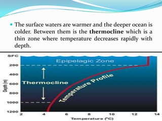 Marine BiomesMany aquatic biomes are physically and chemically stratified for both a lake and marine environment. Vertical Stratification based on physical and chemical variables, such aslighttemperatureLight is absorbed by organisms and the water intensity decreases rapidly with deptTemperature light-penetrated layerwarmed by heat energy from sunlight2deep waters beyond penetration of lightare uniformly cold