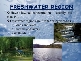  Have a low salt concentration — usually less
than 1%.
Freshwater regions are further categorized as:
1. Ponds and lakes
2. Streams and rivers
3.Wetlands
 