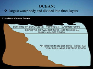 OCEAN:
 largest water body and divided into three layers
 