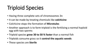 Aquatic biotechnology | PPTX