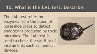 10. What is the LAL test. Describe.
The LAL test relies on
enzymes from the blood of
horseshoe crabs to detect
endotoxins produced by toxic
microbes. The LAL test is
used to check the sterility of
instruments such as medical
devices.
 