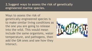 2.Suggest ways to assess the risk of genetically
engineered marine species.
Ways to assess the risk of
genetically engineered species is
to make similar living conditions as
the one you are going to release
into the wild. This would mean
include the same organisms, water
temperature, and pathogens, then
add the GM ones and see how they
interact.
 