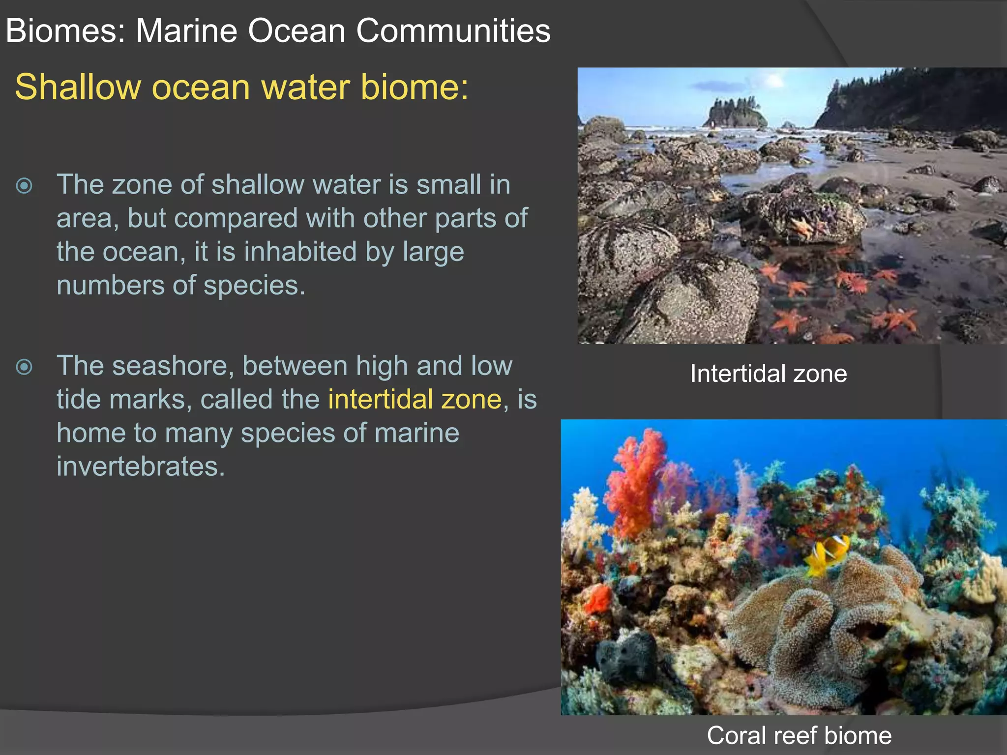 Biomes: Marine Ocean CommunitiesShallow ocean water biome: The zone of shallow water is small in area, but compared with other parts of the ocean, it is inhabited by large numbers of species.The seashore, between high and low tide marks, called the intertidal zone, is home to many species of marine invertebrates.Intertidal zoneCoral reef biome
