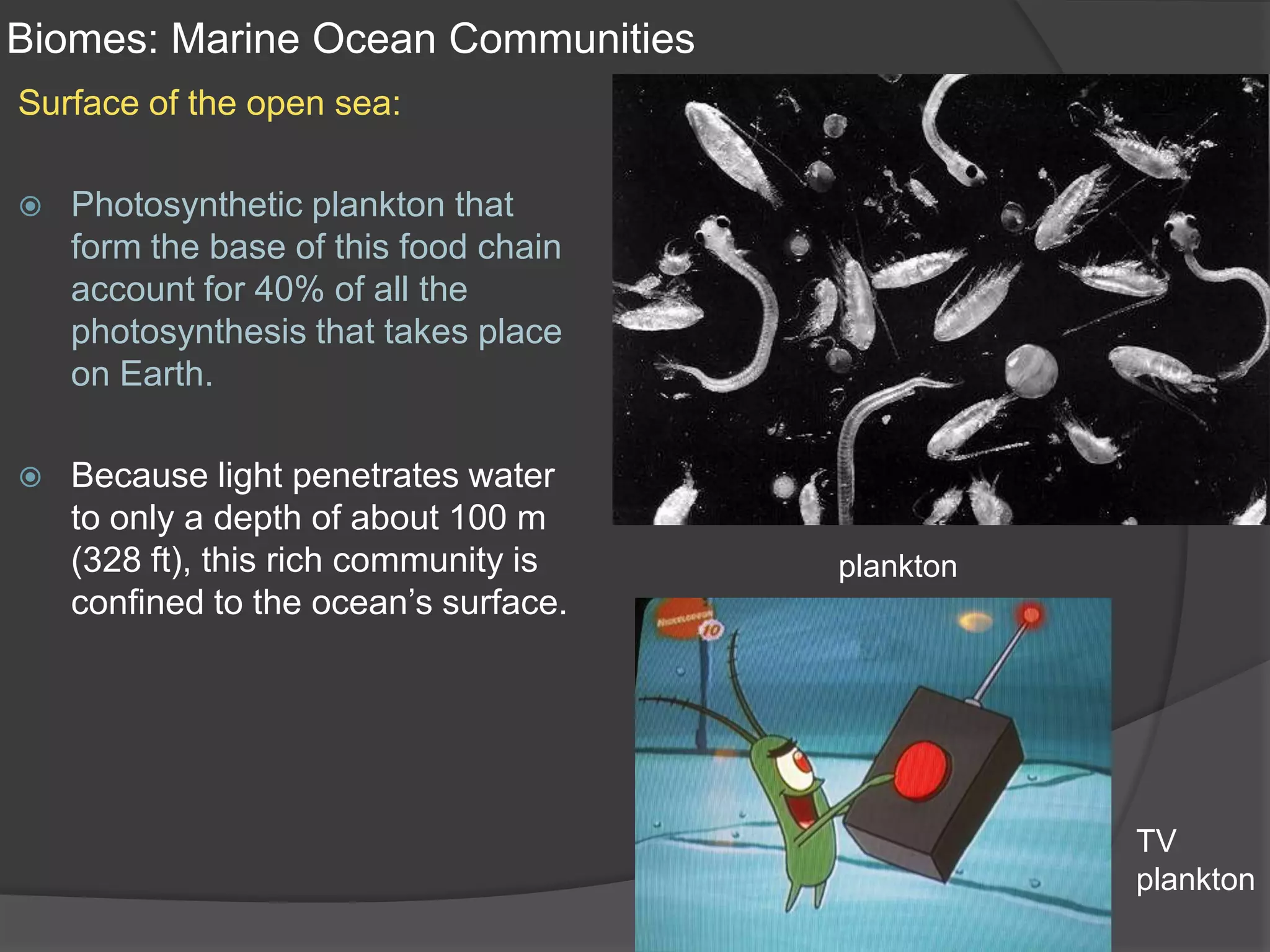 Biomes: Marine Ocean CommunitiesSurface of the open sea:Photosynthetic plankton that form the base of this food chain account for 40% of all the photosynthesis that takes place on Earth.Because light penetrates water to only a depth of about 100 m (328 ft), this rich community is confined to the ocean’s surface.planktonTVplankton