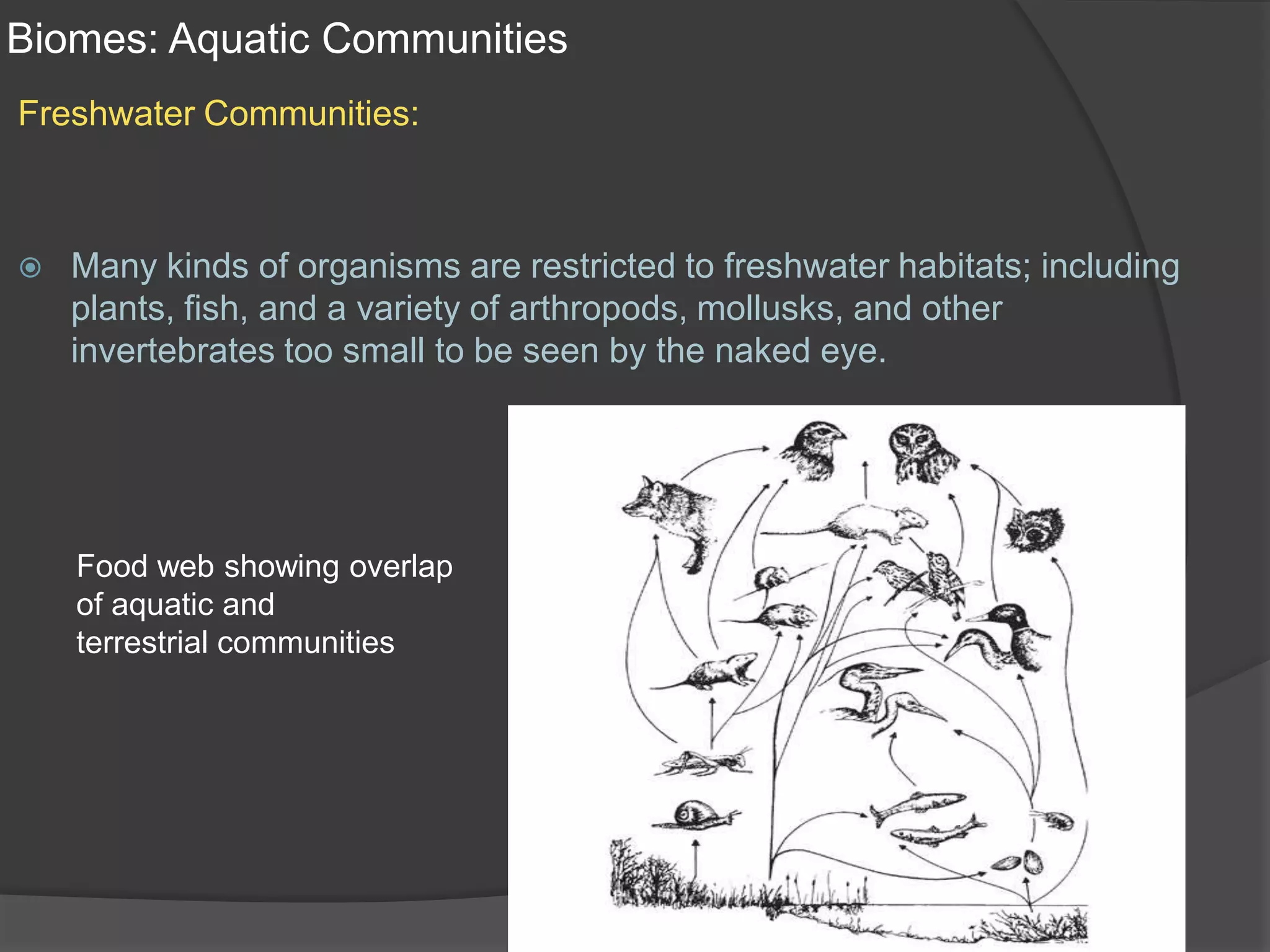 Biomes: Aquatic CommunitiesFreshwater Communities:Many kinds of organisms are restricted to freshwater habitats; including plants, fish, and a variety of arthropods, mollusks, and other invertebrates too small to be seen by the naked eye.Food web showing overlapof aquatic and terrestrial communities
