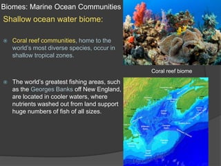 Biomes: Marine Ocean CommunitiesShallow ocean water biome:Coral reef communities, home to the world’s most diverse species, occur in shallow tropical zones.The world’s greatest fishing areas, such as the Georges Banks off New England, are located in cooler waters, where nutrients washed out from land support huge numbers of fish of all sizes.Coral reef biome
