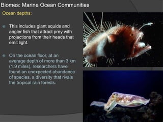 Biomes: Marine Ocean CommunitiesOcean depths:This includes giant squids and angler fish that attract prey with projections from their heads that emit light.On the ocean floor, at an average depth of more than 3 km (1.9 miles), researchers have found an unexpected abundance of species, a diversity that rivals the tropical rain forests.