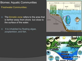 Biomes: Aquatic CommunitiesFreshwater Communities:The limnetic zone refers to the area that is farther away from shore  but close to the surface of the water. It is inhabited by floating algae, zooplankton, and fish.