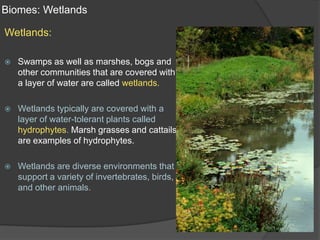 Biomes: WetlandsWetlands:Swamps as well as marshes, bogs and other communities that are covered with a layer of water are called wetlands.Wetlands typically are covered with a layer of water-tolerant plants called hydrophytes. Marsh grasses and cattails are examples of hydrophytes.Wetlands are diverse environments that support a variety of invertebrates, birds, and other animals.