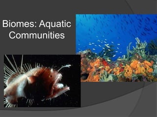 Biomes: Aquatic Communities 
