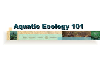 Aquatic Ecology 101 