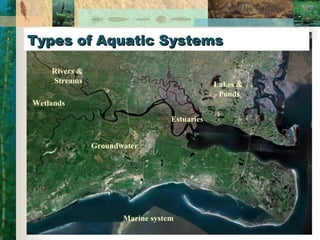Types of Aquatic Systems Lakes &  Ponds Rivers &  Streams Wetlands Estuaries Marine system Groundwater 
