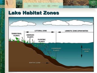 Lake Habitat Zones 