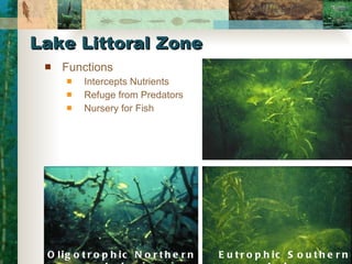 Lake Littoral Zone Functions Intercepts Nutrients Refuge from Predators Nursery for Fish Oligotrophic Northern Lake Eutrophic Southern Lake 
