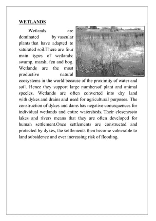 WETLANDS
Wetlands
are
dominated
by vascular
plants that have adapted to
saturated soil.There are four
main types of wetlands:
swamp, marsh, fen and bog.
Wetlands are the most
productive
natural
ecosystems in the world because of the proximity of water and
soil. Hence they support large numbersof plant and animal
species. Wetlands are often converted into dry land
with dykes and drains and used for agricultural purposes. The
construction of dykes and dams has negative consequences for
individual wetlands and entire watersheds. Their closenessto
lakes and rivers means that they are often developed for
human settlement.Once settlements are constructed and
protected by dykes, the settlements then become vulnerable to
land subsidence and ever increasing risk of flooding.

 