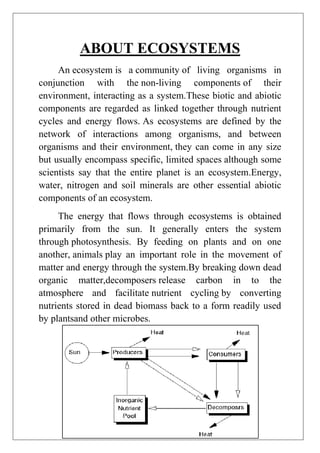 ABOUT ECOSYSTEMS
An ecosystem is a community of living organisms in
conjunction with the non-living components of their
environment, interacting as a system.These biotic and abiotic
components are regarded as linked together through nutrient
cycles and energy flows. As ecosystems are defined by the
network of interactions among organisms, and between
organisms and their environment, they can come in any size
but usually encompass specific, limited spaces although some
scientists say that the entire planet is an ecosystem.Energy,
water, nitrogen and soil minerals are other essential abiotic
components of an ecosystem.
The energy that flows through ecosystems is obtained
primarily from the sun. It generally enters the system
through photosynthesis. By feeding on plants and on one
another, animals play an important role in the movement of
matter and energy through the system.By breaking down dead
organic matter,decomposers release carbon in to the
atmosphere and facilitate nutrient cycling by converting
nutrients stored in dead biomass back to a form readily used
by plantsand other microbes.

 