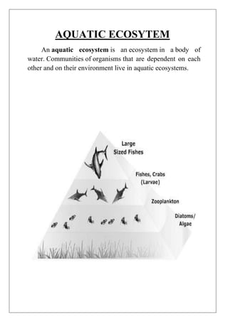 AQUATIC ECOSYTEM
An aquatic ecosystem is an ecosystem in a body of
water. Communities of organisms that are dependent on each
other and on their environment live in aquatic ecosystems.

 