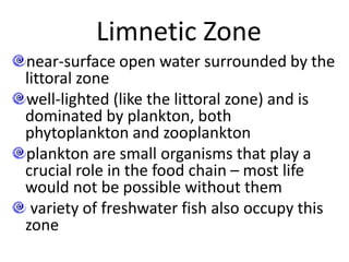 Limnetic Zone
near-surface open water surrounded by the
littoral zone
well-lighted (like the littoral zone) and is
dominated by plankton, both
phytoplankton and zooplankton
plankton are small organisms that play a
crucial role in the food chain – most life
would not be possible without them
variety of freshwater fish also occupy this
zone
 