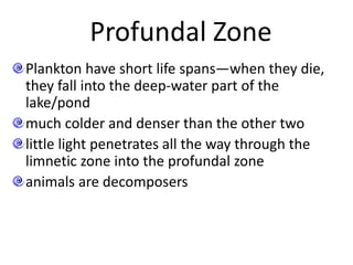 Profundal Zone
Plankton have short life spans—when they die,
they fall into the deep-water part of the
lake/pond
much colder and denser than the other two
little light penetrates all the way through the
limnetic zone into the profundal zone
animals are decomposers
 