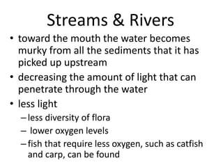 Streams & Rivers
• toward the mouth the water becomes
murky from all the sediments that it has
picked up upstream
• decreasing the amount of light that can
penetrate through the water
• less light
–less diversity of flora
– lower oxygen levels
–fish that require less oxygen, such as catfish
and carp, can be found
 
