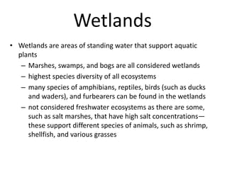 Wetlands
• Wetlands are areas of standing water that support aquatic
plants
– Marshes, swamps, and bogs are all considered wetlands
– highest species diversity of all ecosystems
– many species of amphibians, reptiles, birds (such as ducks
and waders), and furbearers can be found in the wetlands
– not considered freshwater ecosystems as there are some,
such as salt marshes, that have high salt concentrations—
these support different species of animals, such as shrimp,
shellfish, and various grasses
 