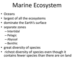 Marine Ecosystem
• Oceans
• largest of all the ecosystems
• dominate the Earth’s surface
• separate zones
– Intertidal
– Pelagic
– Abyssal
– Benthic
• great diversity of species
• richest diversity of species even though it
contains fewer species than there are on land
 