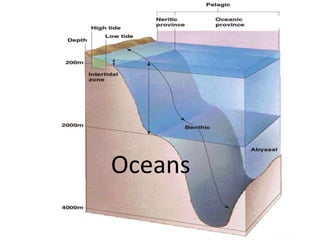Oceans
 