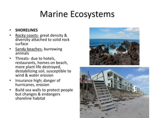 Marine Ecosystems
• SHORELINES
• Rocky coasts- great density &
diversity attached to solid rock
surface
• Sandy beaches- burrowing
animals
• Threats- due to hotels,
restaurants, homes on beach,
more plant life destroyed,
destabilizing soil, susceptible to
wind & water erosion
• Insurance high; danger of
hurricanes, erosion
• Build sea walls to protect people
but changes & endangers
shoreline habitat
 