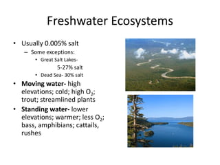 Freshwater Ecosystems
• Usually 0.005% salt
– Some exceptions:
• Great Salt Lakes-
5-27% salt
• Dead Sea- 30% salt
• Moving water- high
elevations; cold; high O2;
trout; streamlined plants
• Standing water- lower
elevations; warmer; less O2;
bass, amphibians; cattails,
rushes
 
