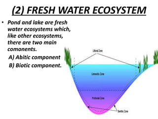 (2) FRESH WATER ECOSYSTEM
• Pond and lake are fresh
water ecosystems which,
like other ecosystems,
there are two main
comonents.
A) Abitic component
B) Biotic component.
 