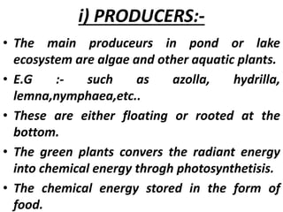 i) PRODUCERS:-
• The main produceurs in pond or lake
ecosystem are algae and other aquatic plants.
• E.G :- such as azolla, hydrilla,
lemna,nymphaea,etc..
• These are either floating or rooted at the
bottom.
• The green plants convers the radiant energy
into chemical energy throgh photosynthetisis.
• The chemical energy stored in the form of
food.
 
