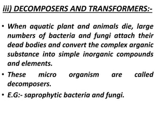 iii) DECOMPOSERS AND TRANSFORMERS:-
• When aquatic plant and animals die, large
numbers of bacteria and fungi attach their
dead bodies and convert the complex arganic
substance into simple inorganic compounds
and elements.
• These micro organism are called
decomposers.
• E.G:- saprophytic bacteria and fungi.
 