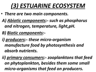(3) ESTUARINE ECOSYSTEM
• There are two main components.
A) Abiotic components:- such as phosphorus
and nitrogen, temperature, light,pH.
B) Biotic components:-
i) producers:- these micro-organism
manufacture food by photosynthesis and
absorb nutrients.
ii) primary consumers:- zooplanktons that feed
on phytoplankton, besides them some small
micro-organisms that feed on producers.
 