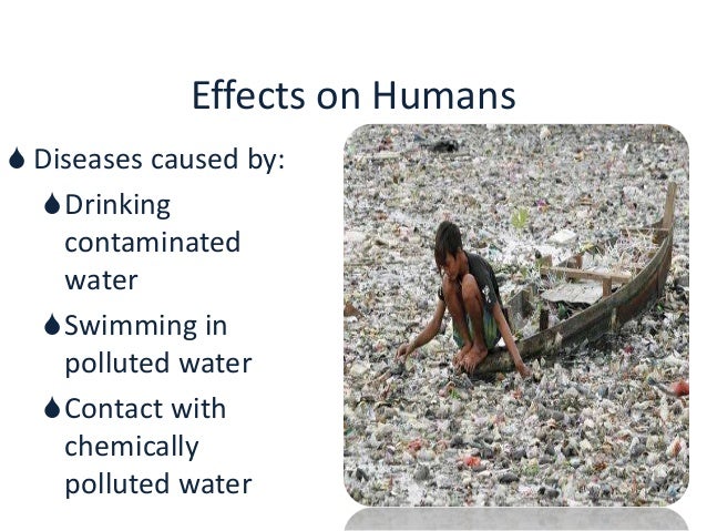 Aquatic Ecosystem And Water Pollution