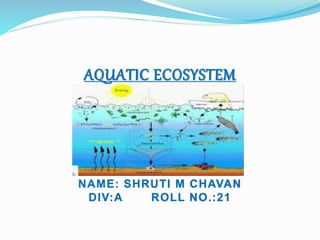 AQUATIC ECOSYSTEM
NAME: SHRUTI M CHAVAN
DIV:A ROLL NO.:21
 