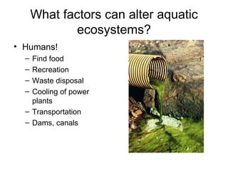 What factors can alter aquatic
             ecosystems?
• Humans!
  – Find food
  – Recreation
  – Waste disposal
  – Cooling of power
    plants
  – Transportation
  – Dams, canals
 
