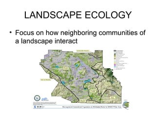 LANDSCAPE ECOLOGY
• Focus on how neighboring communities of
  a landscape interact
 