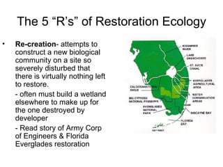 The 5 “R’s” of Restoration Ecology
•   Re-creation- attempts to
    construct a new biological
    community on a site so
    severely disturbed that
    there is virtually nothing left
    to restore.
    - often must build a wetland
    elsewhere to make up for
    the one destroyed by
    developer
    - Read story of Army Corp
    of Engineers & Florida
    Everglades restoration
 